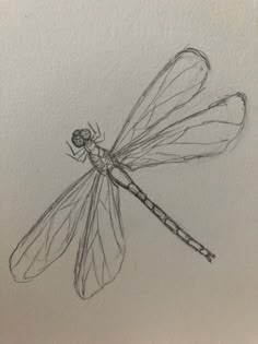 a drawing of a dragonfly sitting on top of a piece of paper