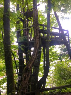 a tree house in the middle of some trees