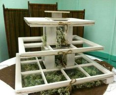 three tiered display case with moss growing in the window panes and tied with twine