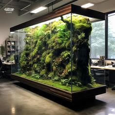 a large aquarium with moss growing on it