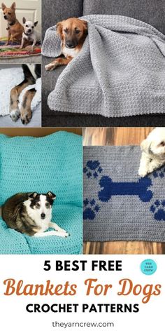 the best free blankets for dogs crochet patterns