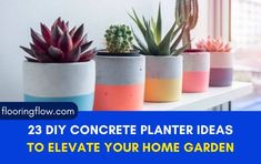 three cement planters with succulents in them and the words, 23 diy concrete planter ideas to elevate your home garden