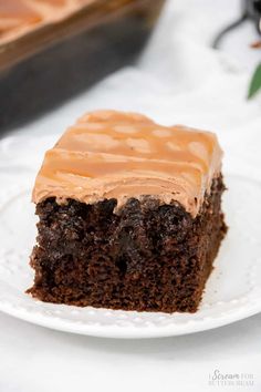 a piece of chocolate cake with peanut butter frosting