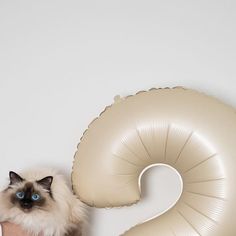 a person holding a cat in front of a balloon shaped like the number two with a siamese cat standing next to it