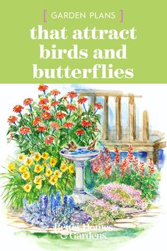 the cover of garden plans that attract birds and butterflies, with colorful flowers in front