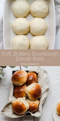 Sourdough Honey Butter Rolls, Fluffy Sourdough Dinner Rolls, Easy Sourdough Dinner Rolls - Soft And Fluffy, Sour Dough Thanksgiving, Sourdough Bread Thanksgiving, Sourdough Recipes Thanksgiving, Sourdough Honey Rolls, Sour Dough Dinner Rolls Recipe, Thanksgiving Recipes Sourdough