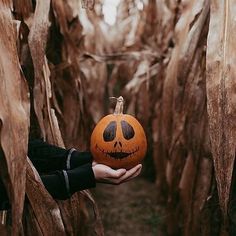 a person holding a pumpkin in their hand