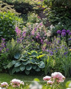 an image of a garden with flowers and plants in the foreground, on instagram