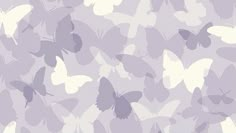 purple and white butterflies are flying in the air