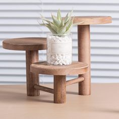 a small potted plant sitting on top of a wooden chair next to a table