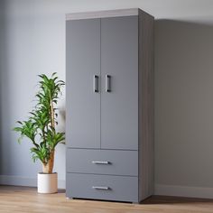 a tall gray cabinet next to a potted plant