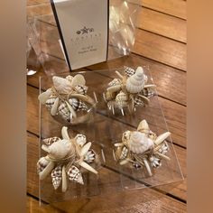 seashells are arranged in clear acrylic boxes on a wooden table