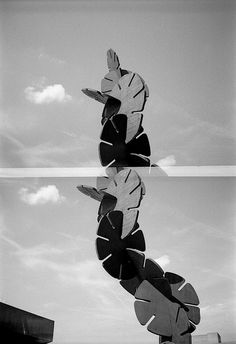 a black and white photo of a kite flying in the sky