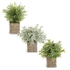 three planters with plants in them on a white background