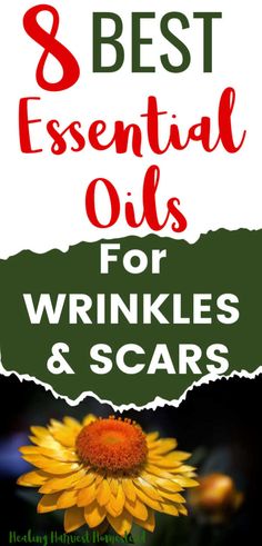 Essential Oils For Wrinkles, Oils For Wrinkles, Skin Care Procedures, Best Anti Aging Skin Care, Homemade Skincare, Tips For Oily Skin, Anti Aging Oils, Anti Aging Food