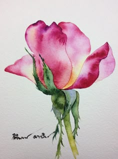 a watercolor painting of a pink rose