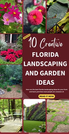 10 creative florida landscaping and garden ideas