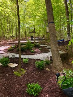 a path in the middle of a forest with lots of trees and plants around it