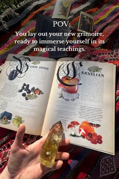 You turn to your new grimoire for guidance, its pages rich with magic. Witchcraft Books