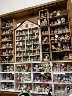 shelves filled with lots of stuffed animals next to a wall full of bookshelves