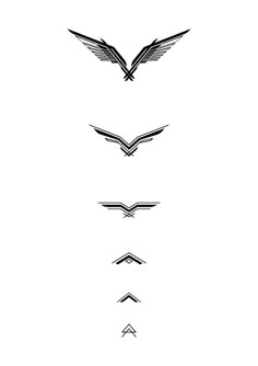 four different types of wings are shown in black and white, each with an arrow