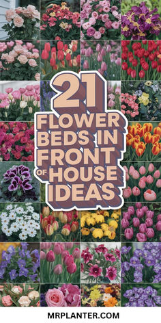 A beautiful front yard showcasing one of the 21 flower beds in front of house ideas with vibrant tulips and elegant roses. Tulip Bed Ideas, Tulip Landscaping Front Yards, Flower Garden Bed Ideas, Rose Garden Design Layout Flower Beds, Tulip Garden Ideas Front Yards, Bulb Planting Ideas, Flower Beds In Front Of House