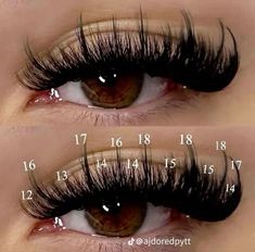 Lash Maps, Lashes Tutorial, Wispy Eyelashes