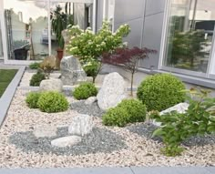 a garden with rocks and plants in front of a window on the side of a building