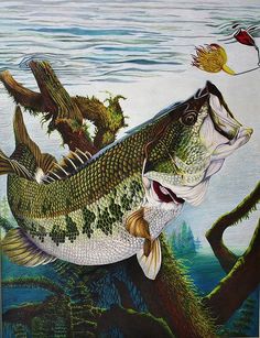 a painting of a large mouth bass on a branch with other fish in the background