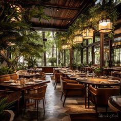 a restaurant with tables, chairs and plants in the window sill area at night