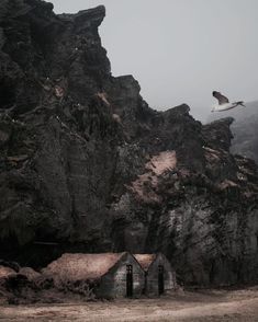 two birds flying over a rocky mountain with houses on the cliff side in the foreground