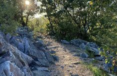 the sun shines brightly through the trees on this rocky trail