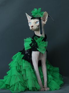 a hairless cat wearing a green dress and headpiece