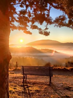 a bench sitting under a tree on top of a hill