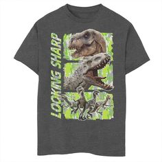 He'll love showing off his style with this boys' Jurassic World Looking Sharp Panels Graphic Tee. Crewneck Short sleevesFABRIC & CARE Cotton, polyester Machine wash Imported He'll love showing off his style with this boys' Jurassic World Looking Sharp Panels Graphic Tee. Jurassic World He'll love showing off his style with this boys' Jurassic World Looking Sharp Panels Graphic Tee. Size: X Small. Color: Grey. Gender: male. Age Group: kids. Material: Cotton Blend. Dinosaur Tshirt, His Style, How To Show Love, Jurassic World, Boy's Clothing, Fabric Care, Graphic Tee, Age Group, Graphic Tshirt