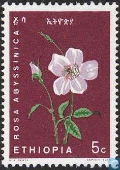 a stamp with a flower on it and the words, ethiopiana 50 cents