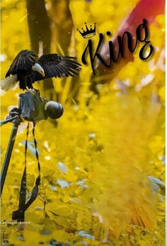 a bird sitting on top of a tripod in front of yellow leaves and trees