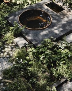 an aerial view of a pond surrounded by greenery and stone pavers in the middle of a garden