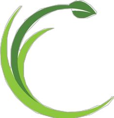 a green leaf logo with the letter c in the middle and an arrow above it