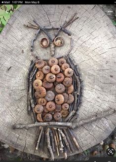 an owl made out of wood sitting on top of a tree stump