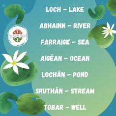 a poster with the names of different water plants and flowers on it's side