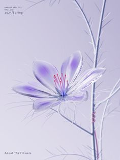 an image of a flower that is in the air