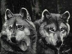 two grey wolfs sitting next to each other in front of some trees with their eyes open