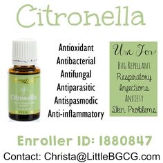 Young Living Citronella is a must for making a homemade bug spray. Not only is it much more pleasant smelling when it's not synthetic BUT it's also used for so many more things than a bug repellant! Citronella Benefits, Young Living Citronella, Homemade Bug Spray, Bug Repellant, Yl Essential Oils, Bug Spray, Bug Repellent, Young Living Oils, A Bug