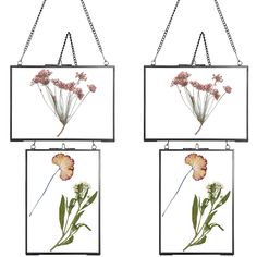 three square frames with flowers hanging from them