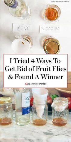 the words i tried 4 ways to get rid of fruit flies and found a winner