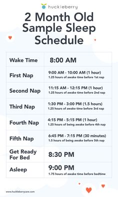 the 2 month old sample sleep schedule is shown in this graphic above it's description