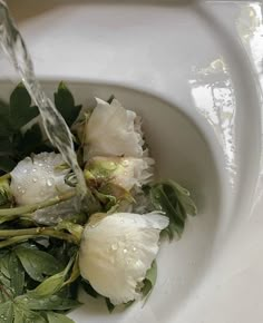 water pouring from a faucet into a white bowl filled with greens and flowers