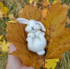 a tiny white rabbit sitting on top of a leaf in the grass with yellow leaves around it