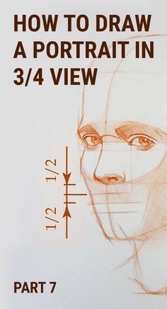 how to draw a portrait in 3 / 4 view part 7